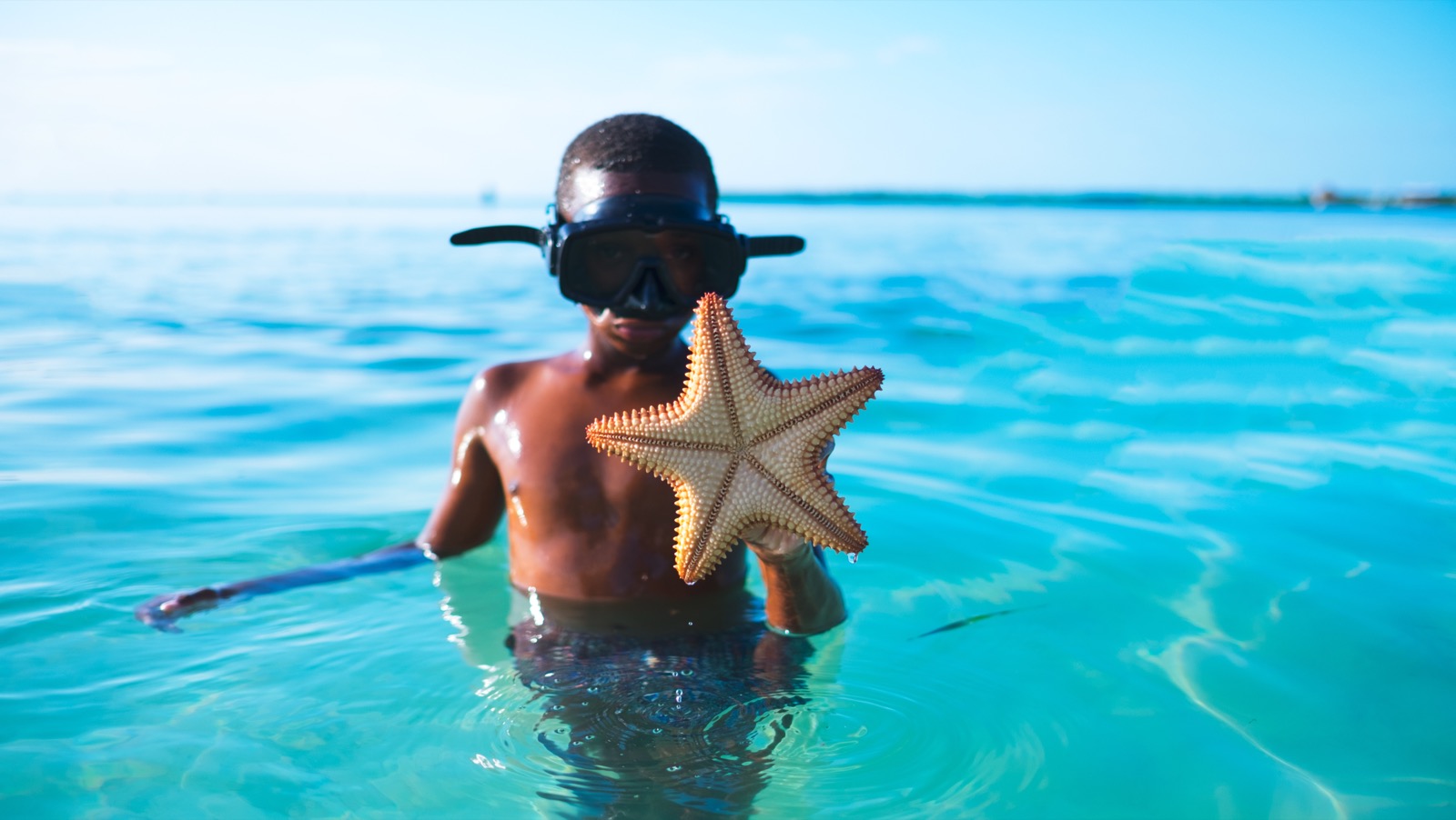 Snorkeller swimming in clear Caribbean water over a reef
